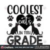 coolest-cats-in-11st-grade-svg-back-to-school-svg-collest-cats-svg