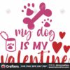 my-cute-dog-is-my-valentine-svg-valentine-svg-valentine-dog-svg-dog-bone-svg-red-heart-svg-valentine-quotes-svg