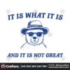 it-is-what-it-is-and-it-is-not-great-meme-svg