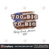 too-big-to-rig-taking-back-america-2024-png