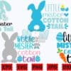 little-mister-cotton-tail-svg-easter