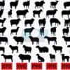 sheep-svg-animal-svg-farm-animal-svg