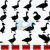 goose-svg-animal-svg-farm-animal-svg