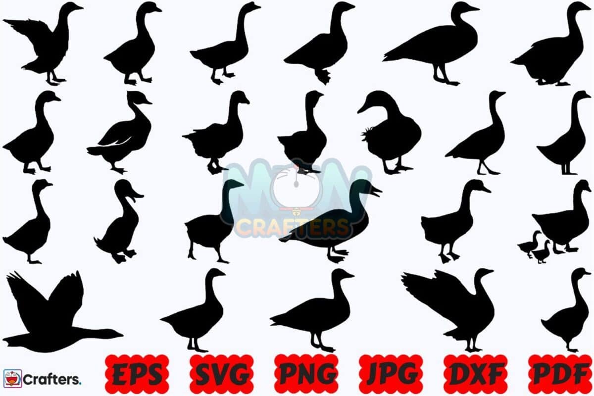 goose-svg-animal-svg-farm-animal-svg