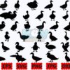 duck-svg-animal-svg-farm-animal-svg