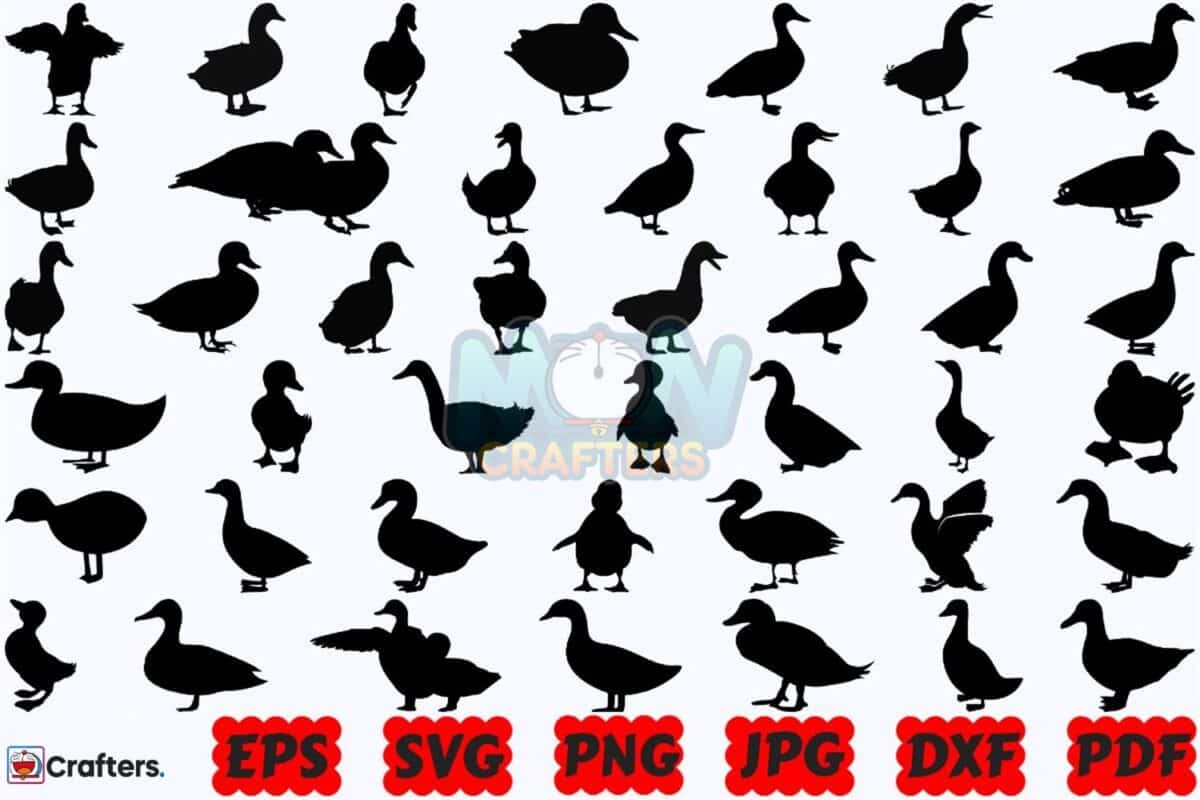 duck-svg-animal-svg-farm-animal-svg