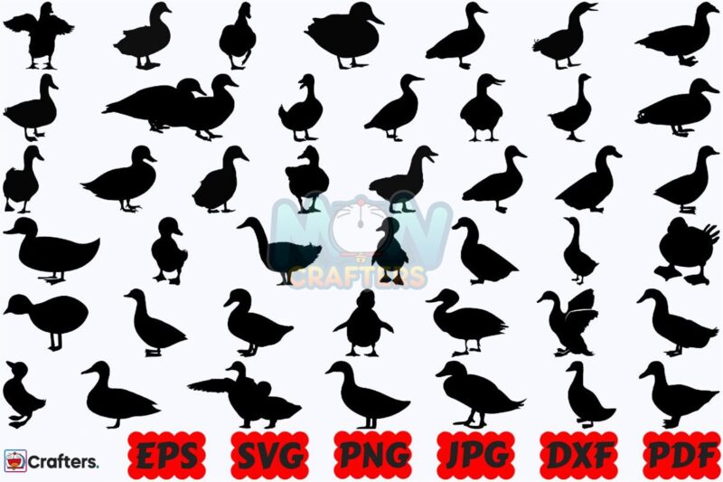 duck-svg-animal-svg-farm-animal-svg