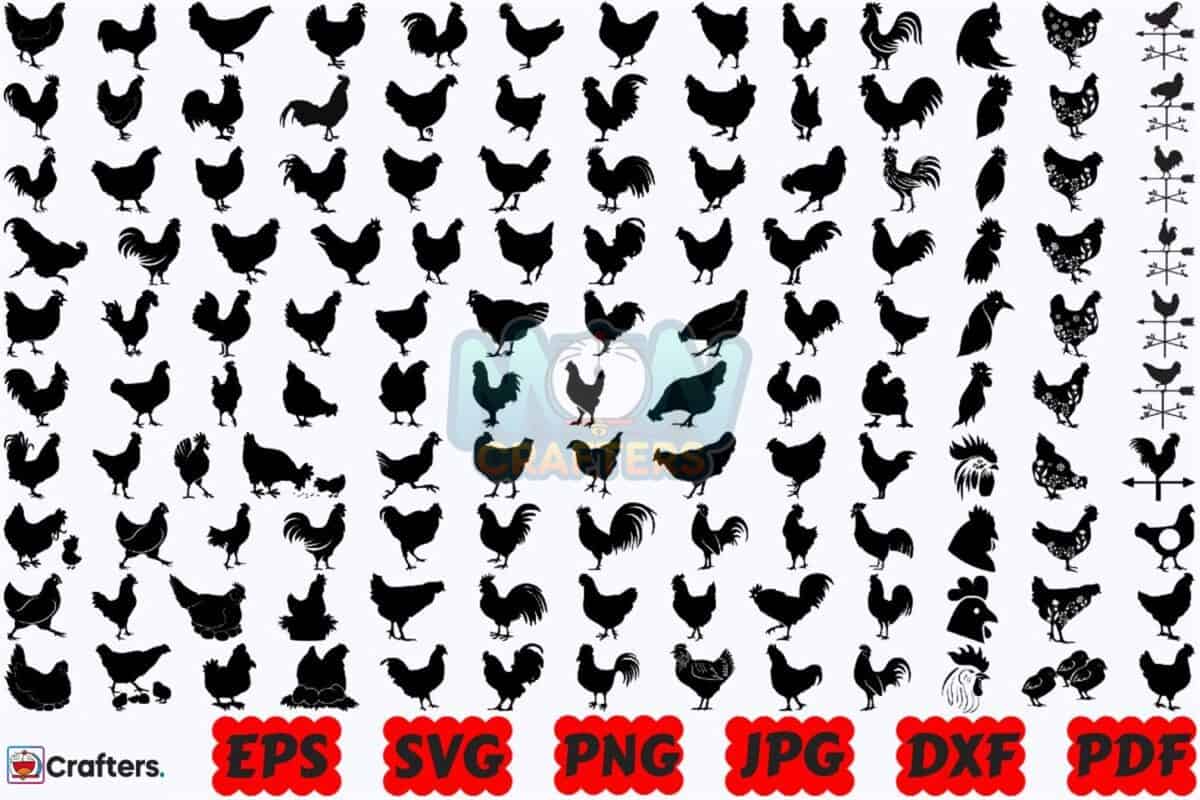 chicken-svg-animal-svg-farm-animal