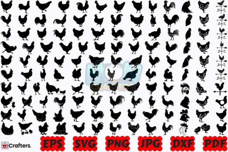 chicken-svg-animal-svg-farm-animal