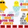 im-here-for-the-chicks-svg-easter-svg