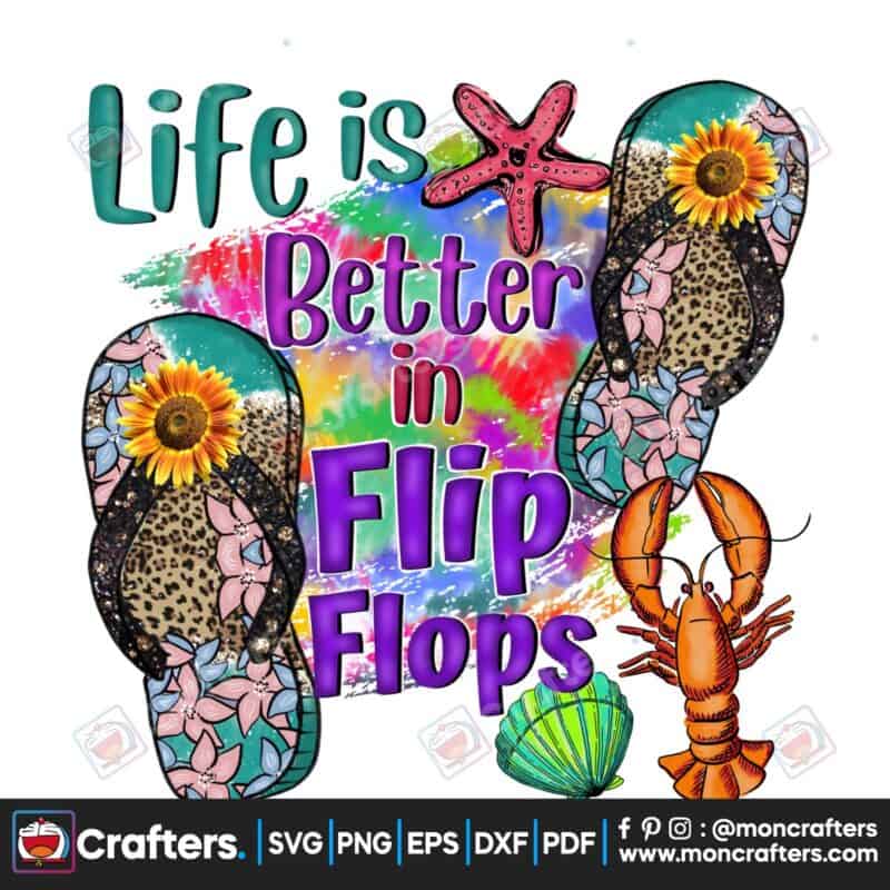 life-is-better-in-flip-flops-png-beach