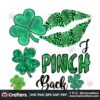 i-pinch-back-png-st-patricks-day