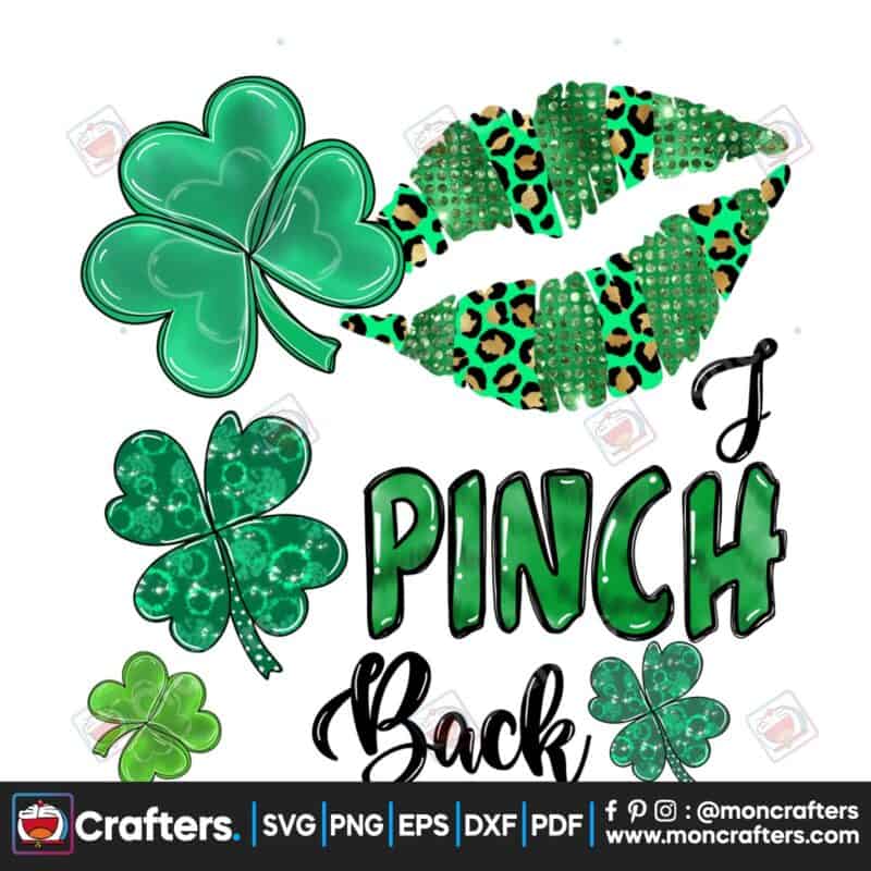 i-pinch-back-png-st-patricks-day