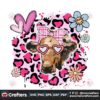 heifer-highland-cow-valentine-leopard