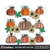 pumpkin-patch-flowers-thanksgiving-fall