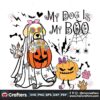 my-dog-is-my-boo-halloween-pumpkin-cute