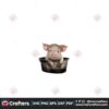 pig-sublimation-pig-clipart-pig-png