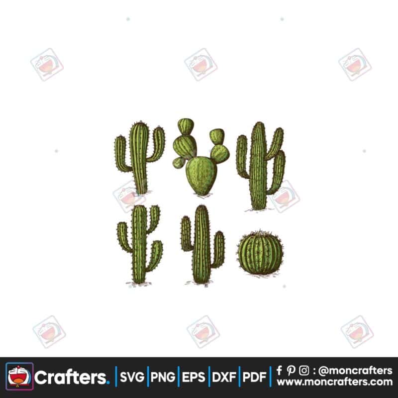 cactus-sublimation-western-cactus-png