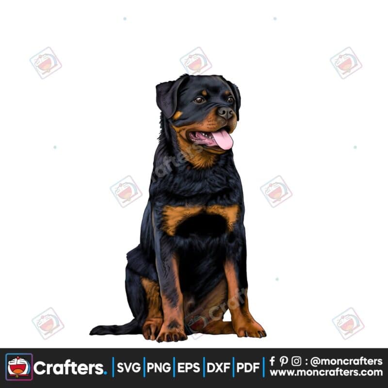 rottweiler-png-sublimation-rottweiler