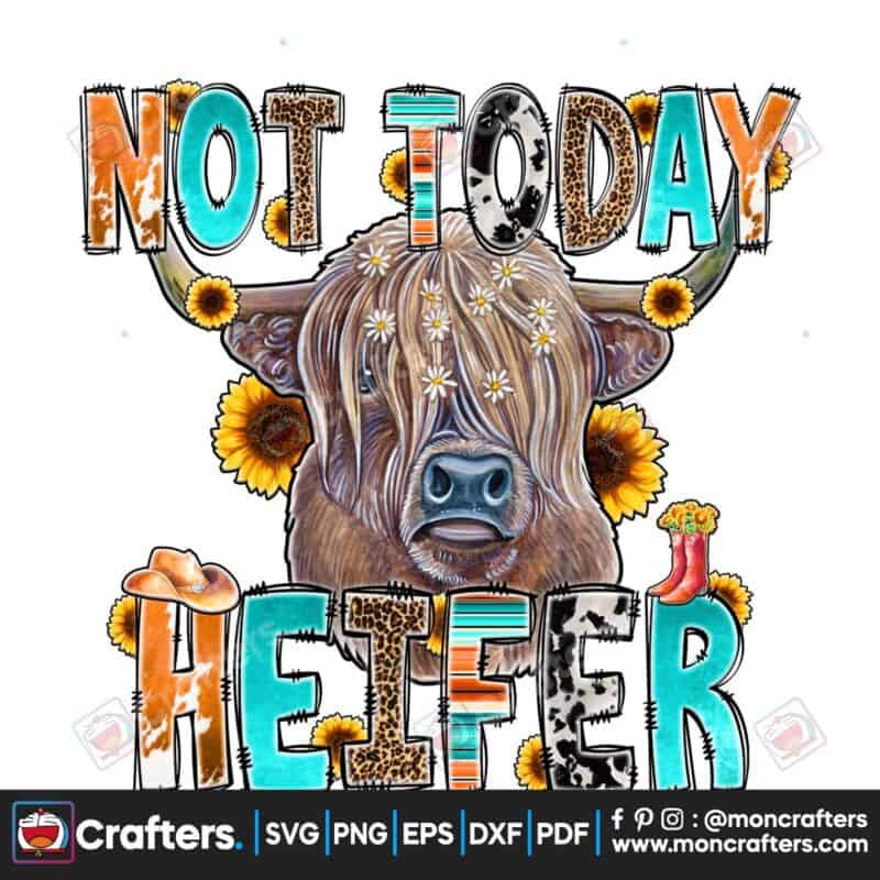 not-today-heifer-sublimation-cow-farm