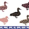 cheetah-print-duck
