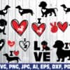 daschund-weiner-dog-dog-lover