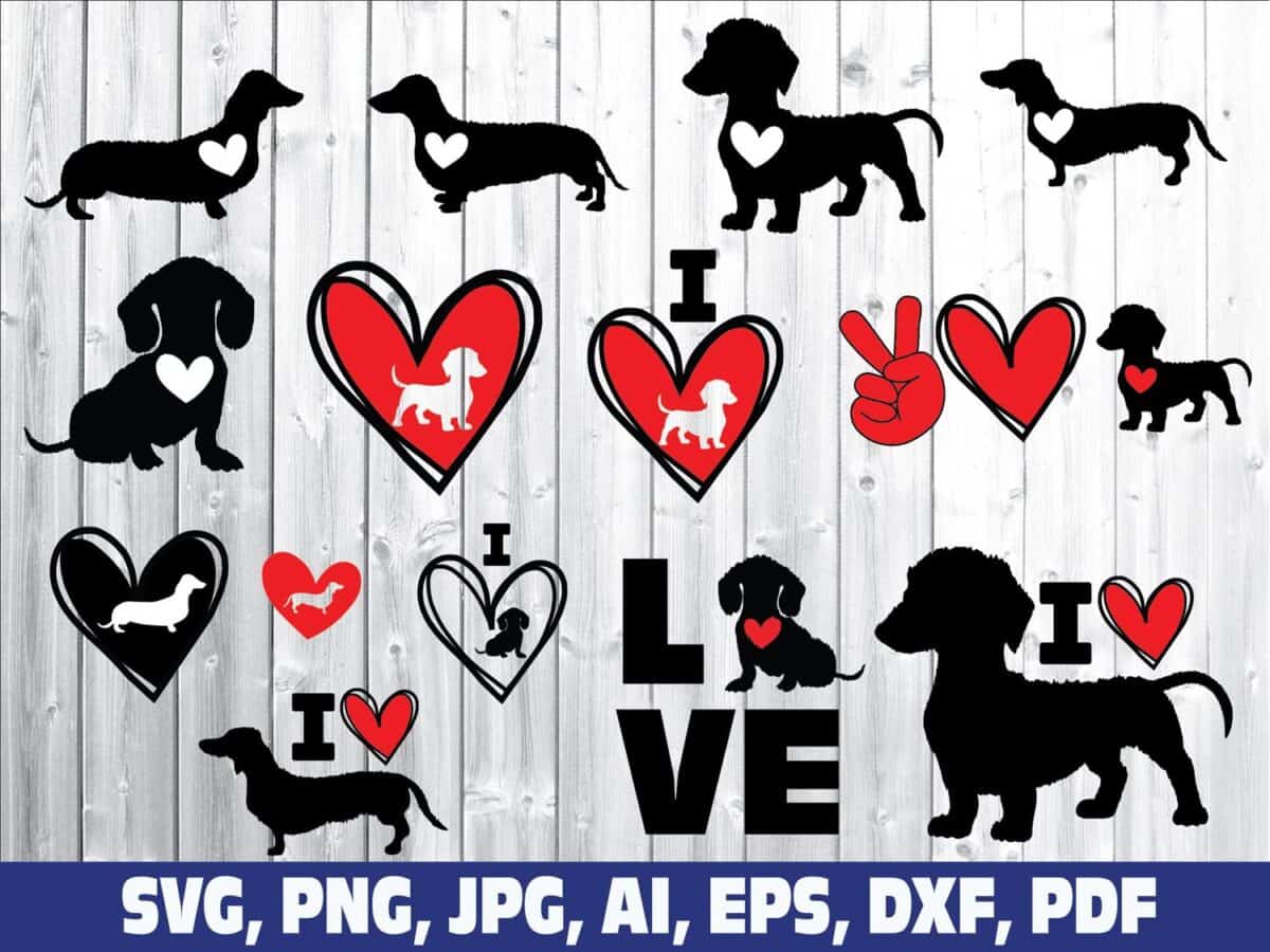 daschund-weiner-dog-dog-lover