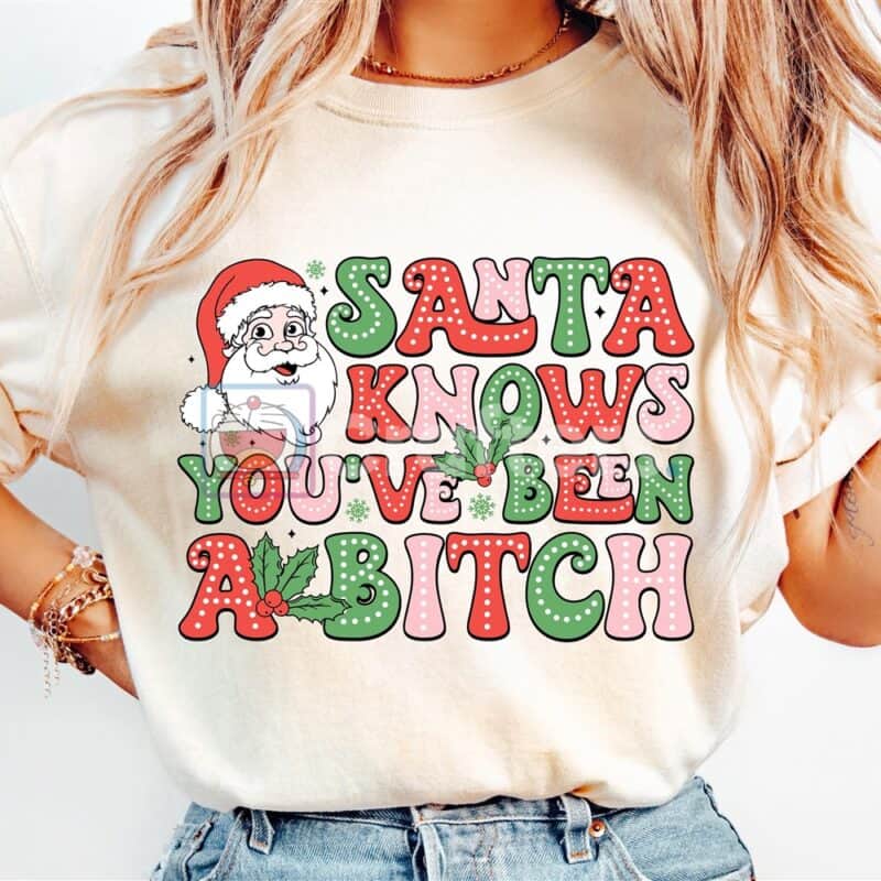 funny-christmas-santa-png