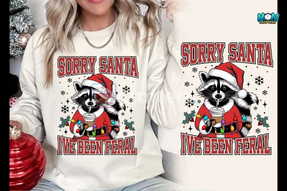 sorry-santa-funny-christmas-raccoon-png