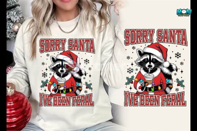 sorry-santa-funny-christmas-raccoon-png