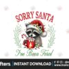 vintage-funny-raccoon-christmas-png